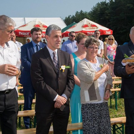 Wyświetl org. rozmiar