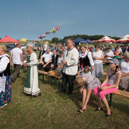 Wyświetl org. rozmiar