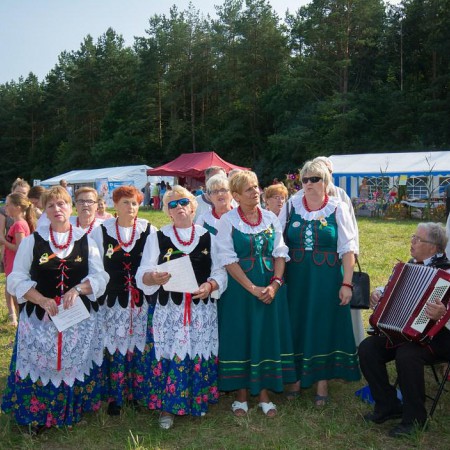 Wyświetl org. rozmiar