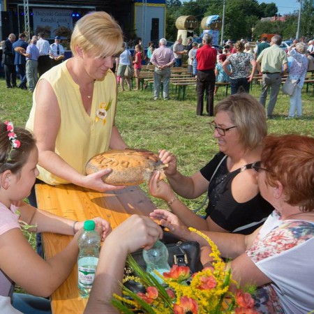 Wyświetl org. rozmiar