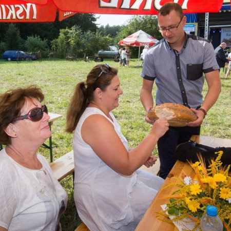 Wyświetl org. rozmiar