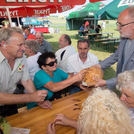 Wyświetl org. rozmiar