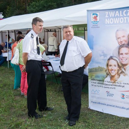 Wyświetl org. rozmiar