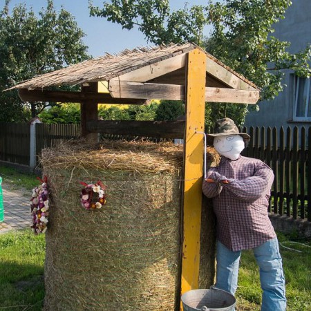 Wyświetl org. rozmiar