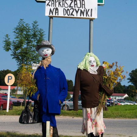 Wyświetl org. rozmiar