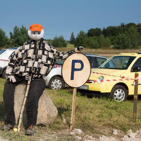 Wyświetl org. rozmiar
