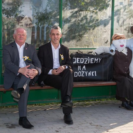 Wyświetl org. rozmiar