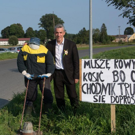 Wyświetl org. rozmiar
