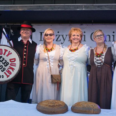 Wyświetl org. rozmiar