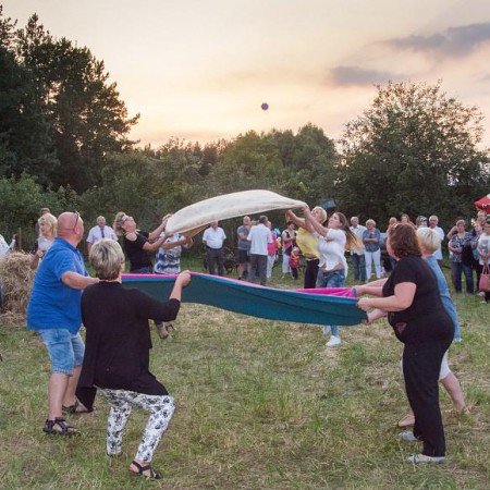 Wyświetl org. rozmiar