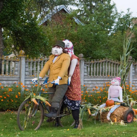 Wyświetl org. rozmiar