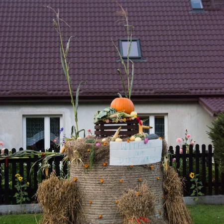 Wyświetl org. rozmiar