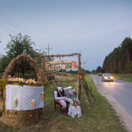 Wyświetl org. rozmiar