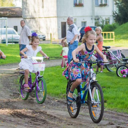 Wyświetl org. rozmiar