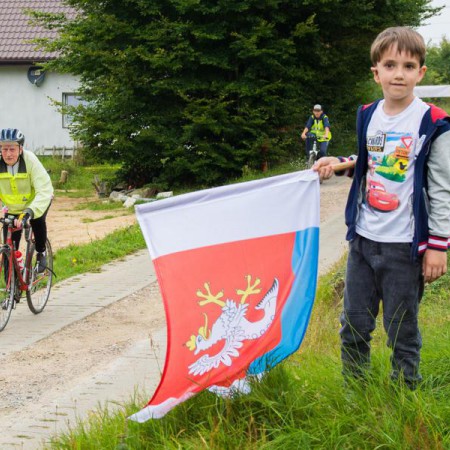 Wyświetl org. rozmiar