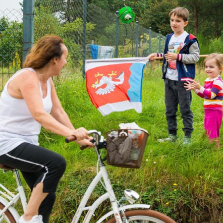 Wyświetl org. rozmiar
