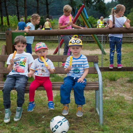 Wyświetl org. rozmiar