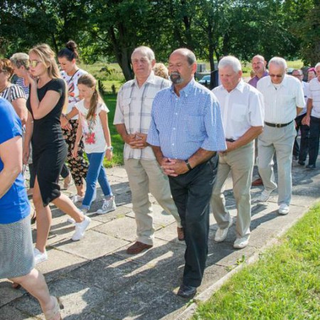 Wyświetl org. rozmiar