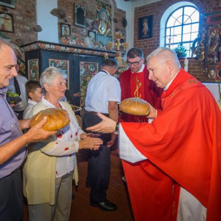 Wyświetl org. rozmiar