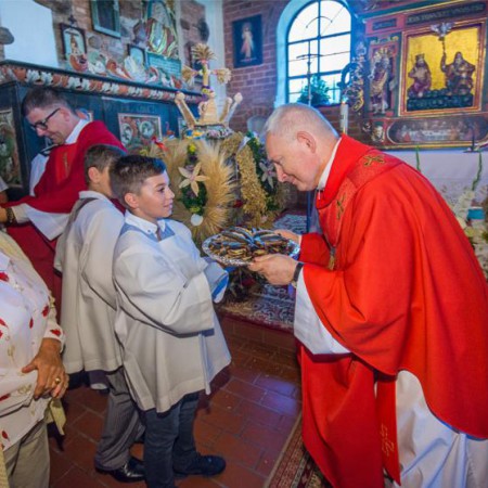 Wyświetl org. rozmiar