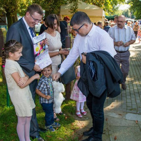 Wyświetl org. rozmiar
