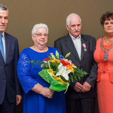 Wyświetl org. rozmiar