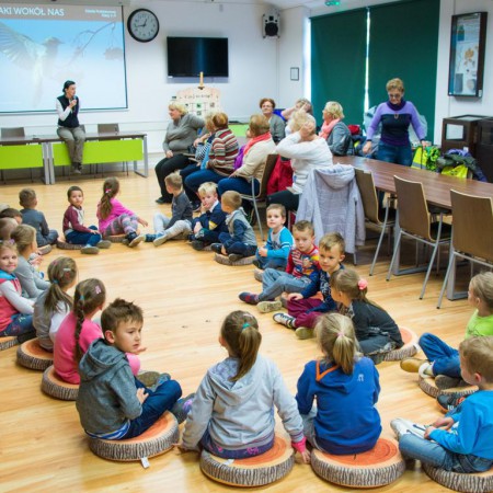 Wyświetl org. rozmiar