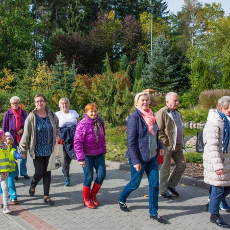 Wyświetl org. rozmiar