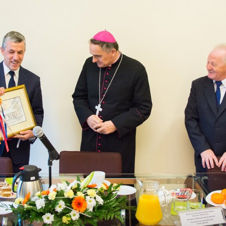 Wyświetl org. rozmiar
