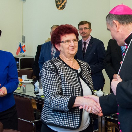Wyświetl org. rozmiar