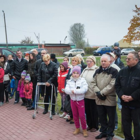 Wyświetl org. rozmiar
