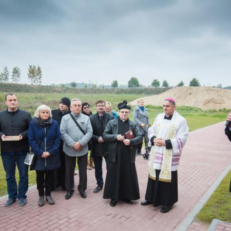 Wyświetl org. rozmiar