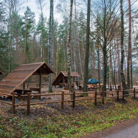 Wyświetl org. rozmiar