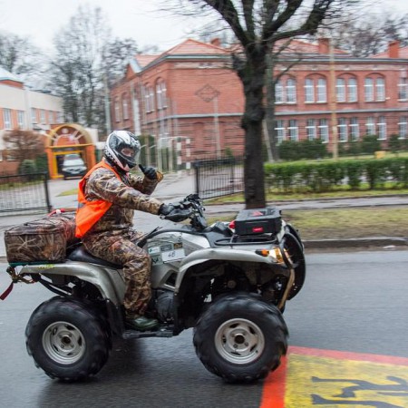 Wyświetl org. rozmiar