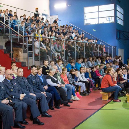Wyświetl org. rozmiar