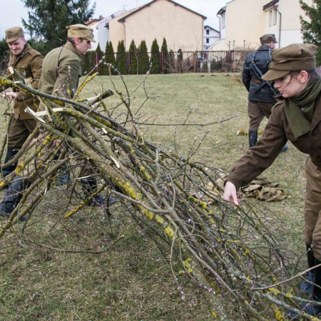 Wyświetl org. rozmiar
