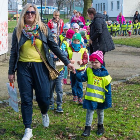 Wyświetl org. rozmiar