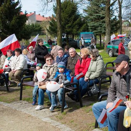 Wyświetl org. rozmiar