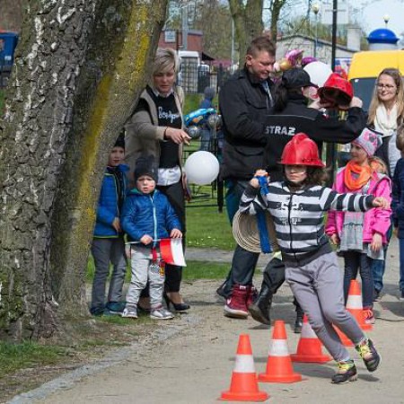 Wyświetl org. rozmiar