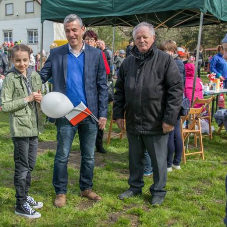 Wyświetl org. rozmiar