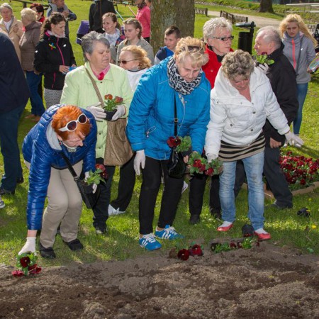 Wyświetl org. rozmiar