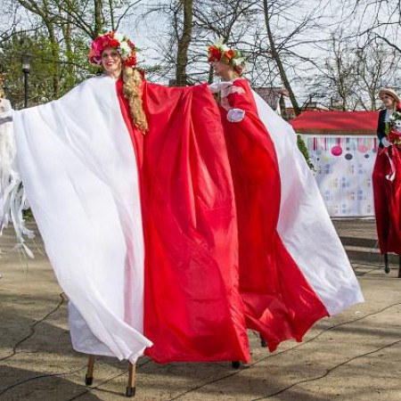 Wyświetl org. rozmiar