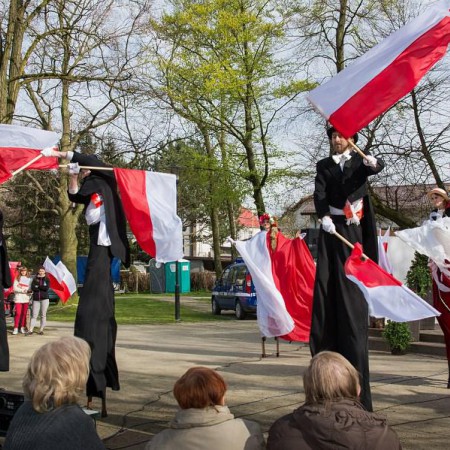 Wyświetl org. rozmiar