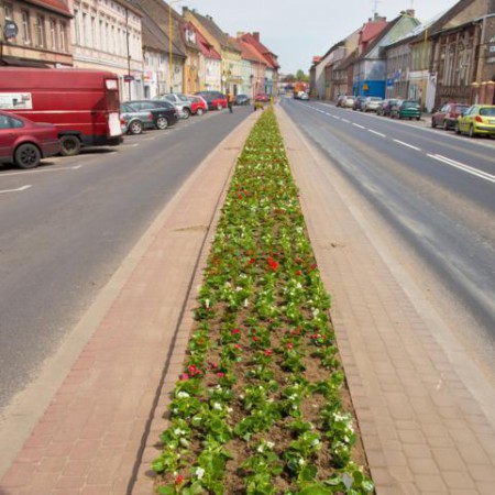 Wyświetl org. rozmiar