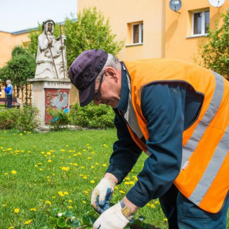 Wyświetl org. rozmiar