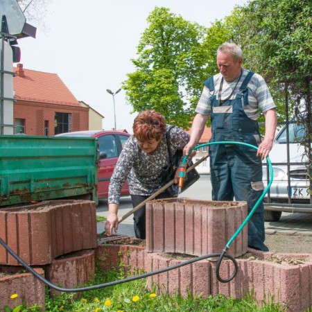 Wyświetl org. rozmiar
