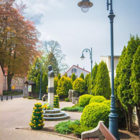 Wyświetl org. rozmiar