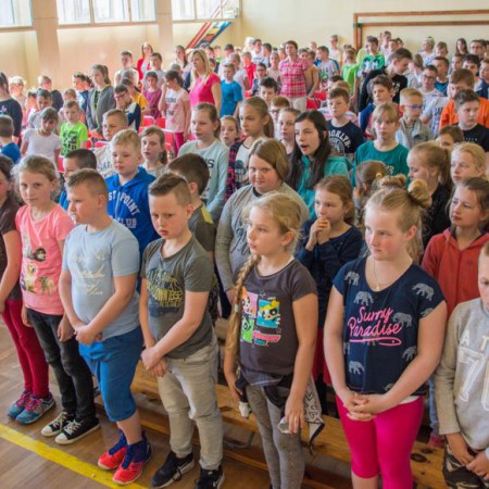 Wyświetl org. rozmiar