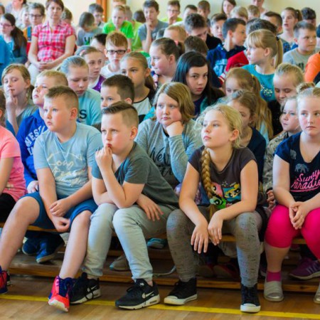 Wyświetl org. rozmiar