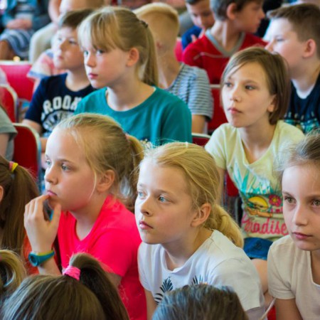 Wyświetl org. rozmiar
